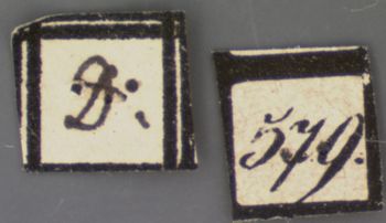 Media type: image; Entomology 8803   Aspect: labels 2